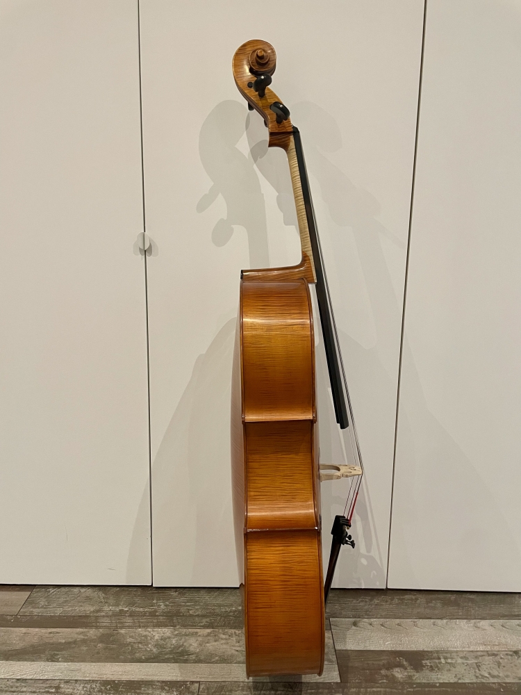Violoncelle 4/4 Gliga Maestro