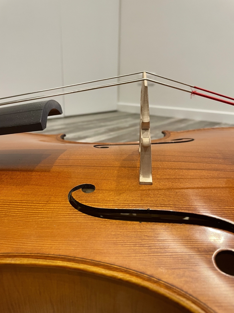 Violoncelle 4/4 Gliga Maestro
