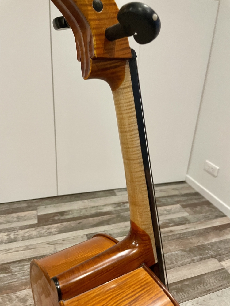 Violoncelle 4/4 Gliga Maestro