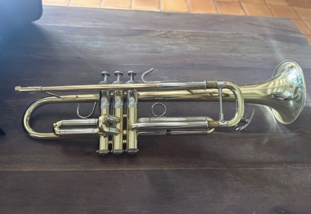 Trompette Bach TR450