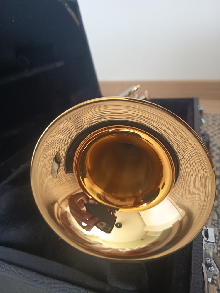 Trompette Sib Carolbrass 6580H-GSS