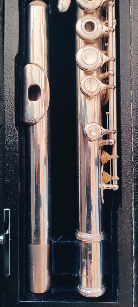 Flute traversière Trevor James TJ 10ix