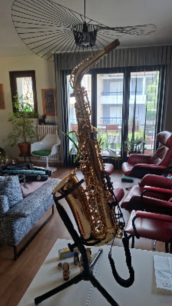 Saxophone alto Selmer Super Action II