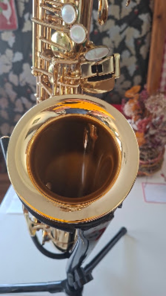 Saxophone alto Selmer Super Action II