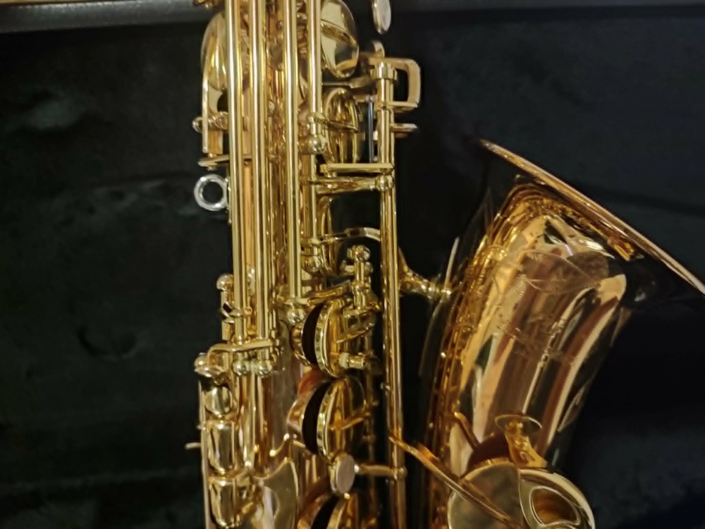 Saxophone alto Yanagisawa 902