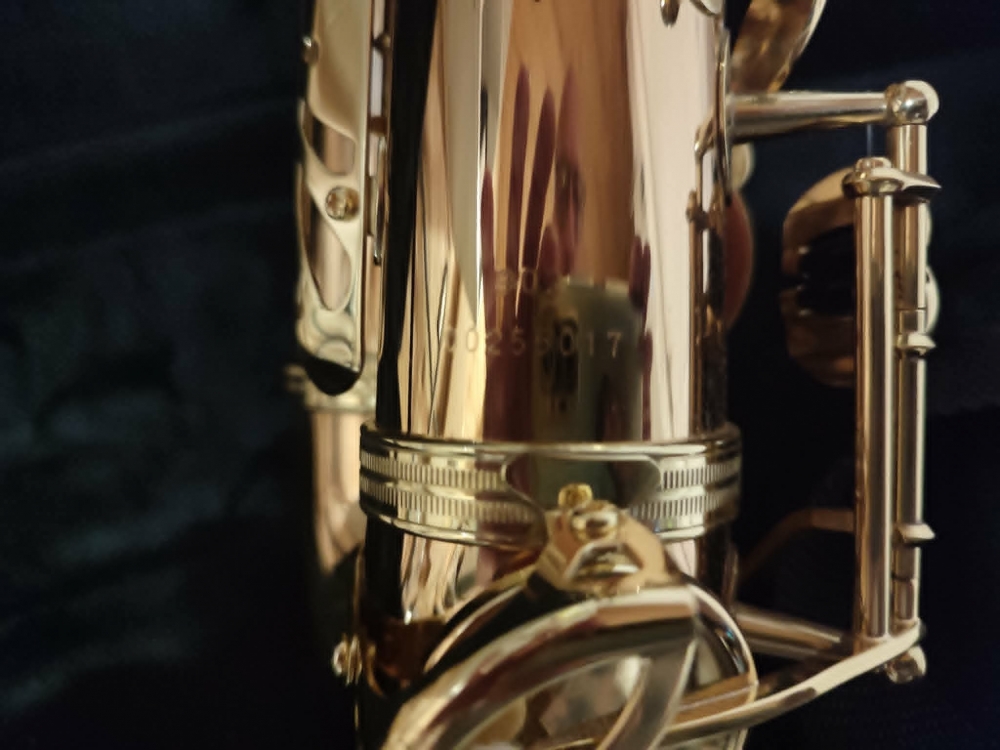 Saxophone alto Yanagisawa 902