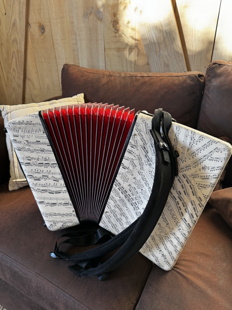 Accordéon piano 48 basses