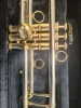 Trompette Sib Carolbrass 6580H-GSS