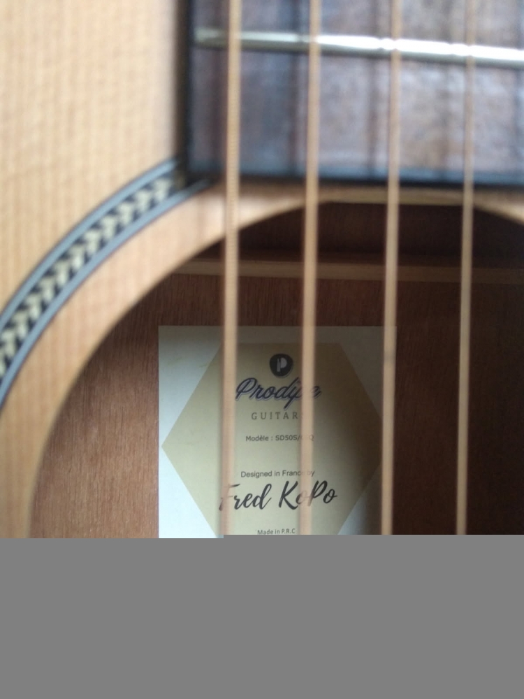 Guitare électro-acoustique Prodipe SD50S/CEQ