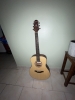 Guitare acoustique Crafter HT100-n