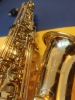 Saxophone alto Yanagisawa 900U