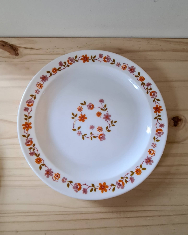Vintage pop ! Voilà 2 assiettes arcopal , décors fleuris orange, rose et  bleu Aucune traces du temps 📐 Diamètre 24cm