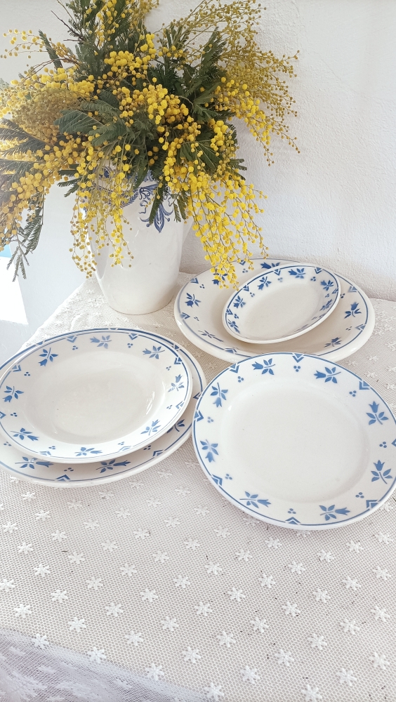 Lot De Assiettes Creuses Bleues Camille Sarreguemines Et Digoin