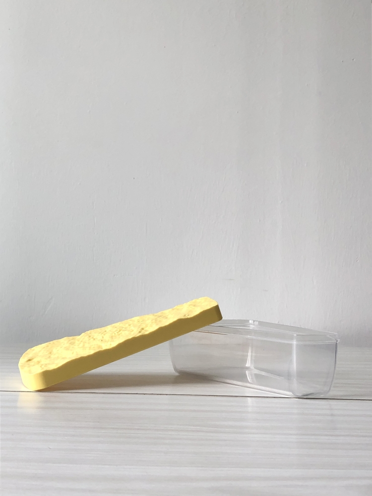 Tupperware fromage conservation parmesan