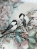 Assiette de collection anglaise décor oiseaux et fleurs de cerisier 