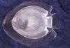 5 assiettes poisson et 1 grand plat forme poisson de Arcoroc, 1970'S