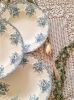 Assiettes semi-creuse en terre de fer, Longwy, fin XIXe