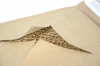 Padded Paper Envelope