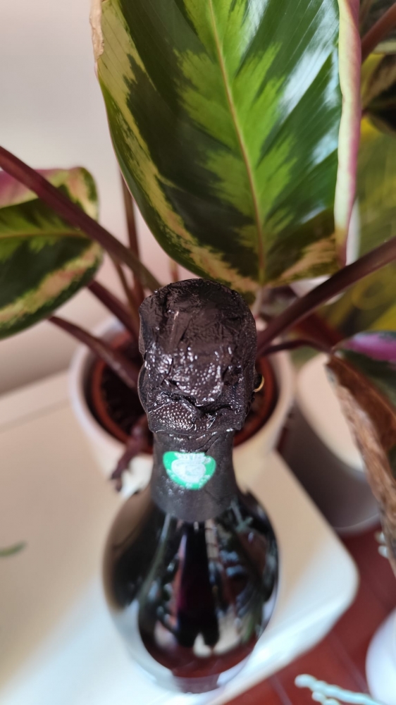 Dom Perignon Vintage 2015