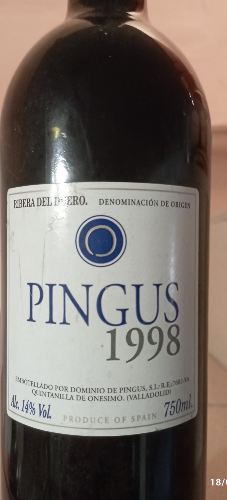 PINGUS DOMINIO DE PINGUS 