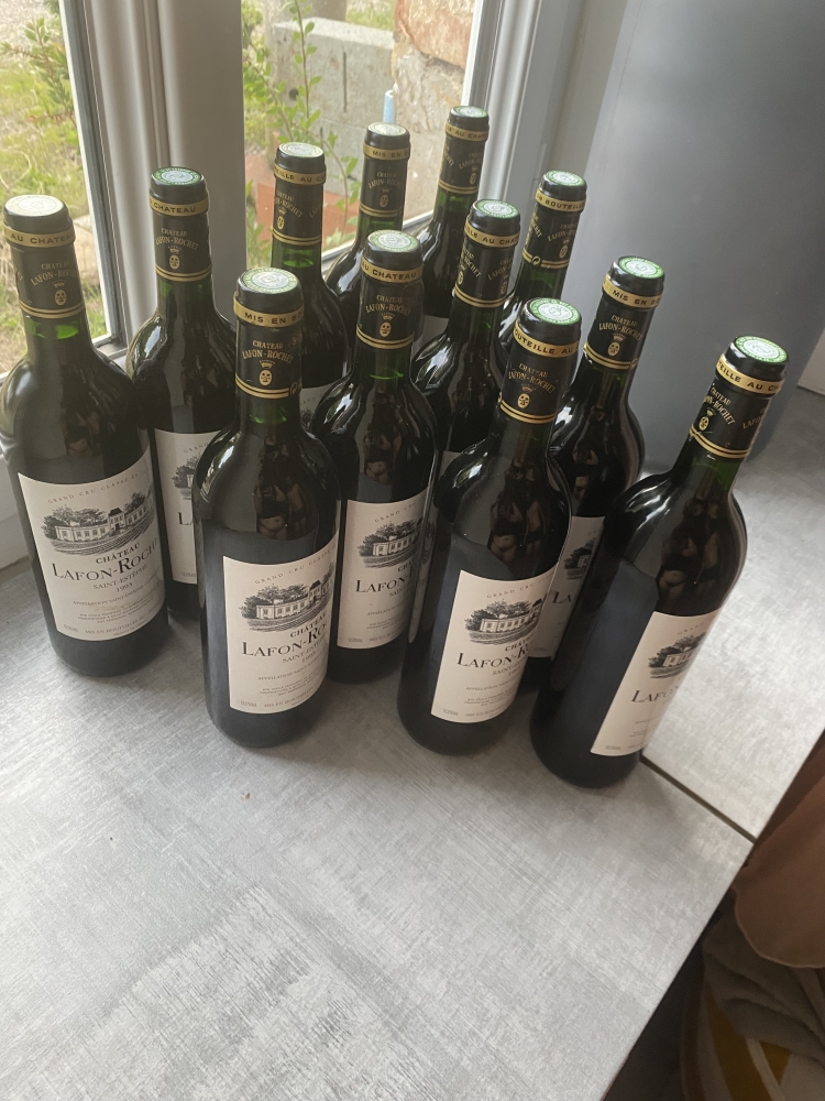 10 btls château Lafon rochet 1993