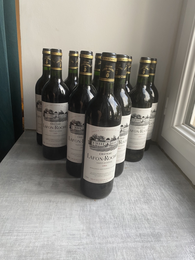 10 btls château Lafon rochet 1993