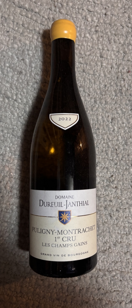 Puligny Montrachet 1er Cru Les Champs Gains 2022