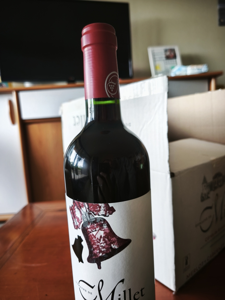 Domaine de Millet côte de Gascogne 