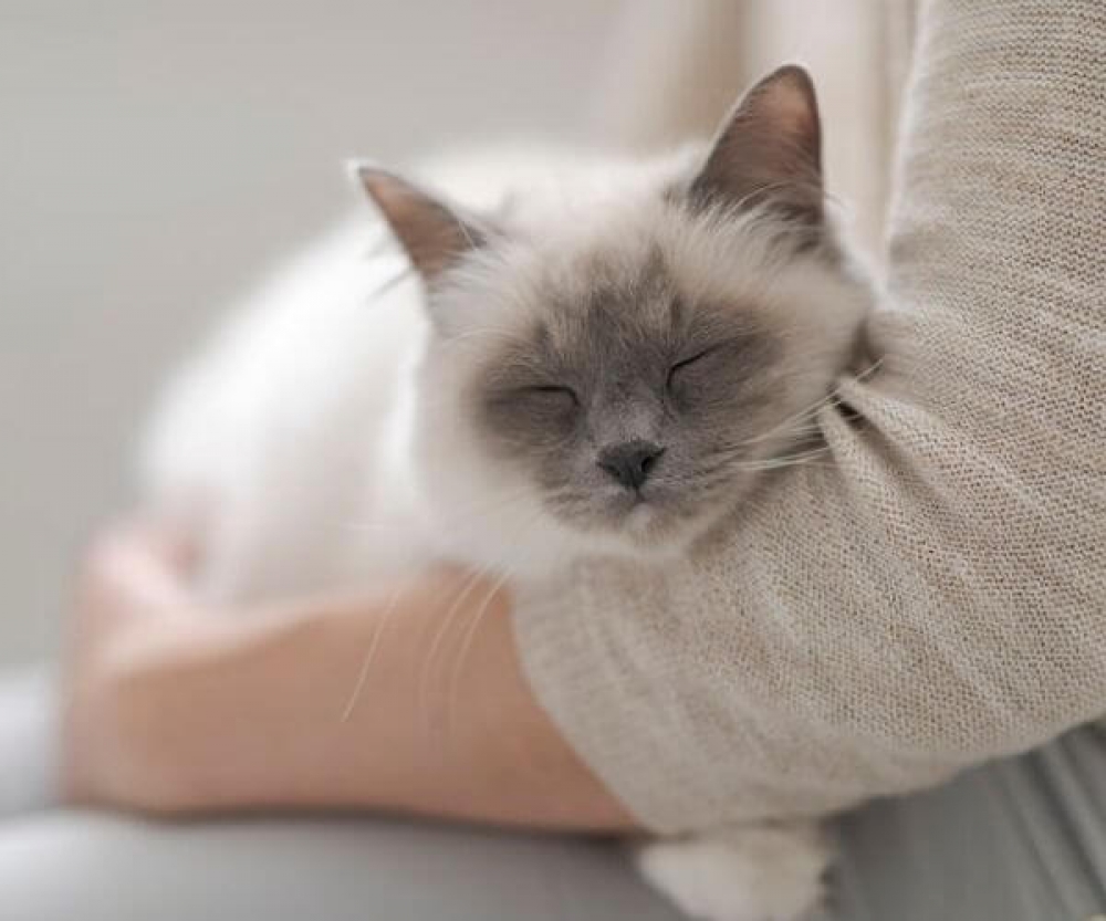 Pop in for a cuddle!