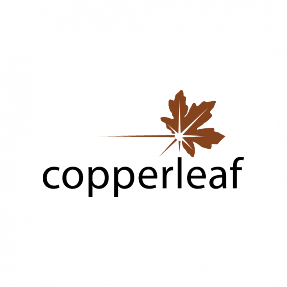 Senior Consultant Canada (Remote Working) - Copperleaf Technologies