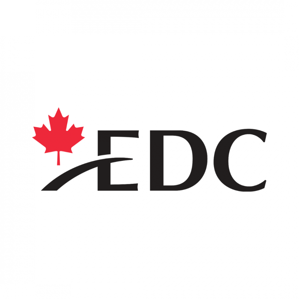 Principal Risk Advisor, Environmental & Social (E&S)  - EDC, Ottawa