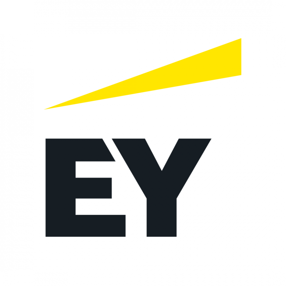 Staff Consultant - Finance - Board Developer - EY Toronto