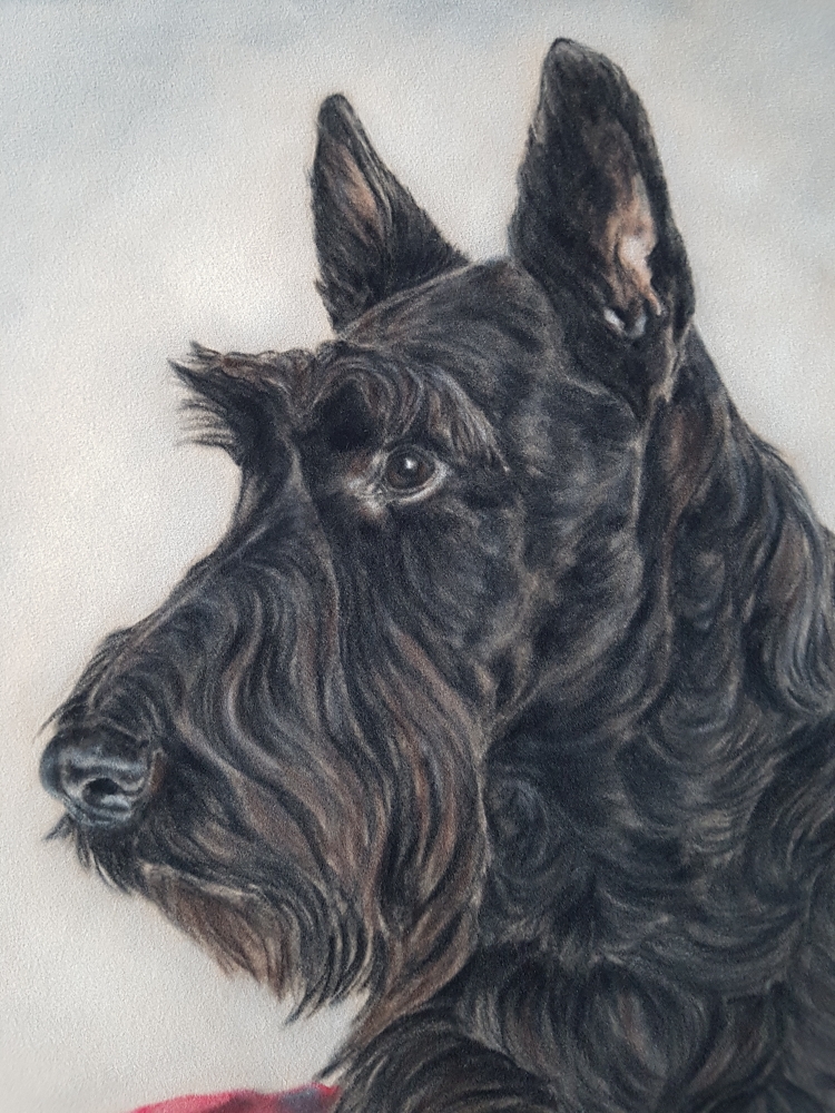 Scottie Pose