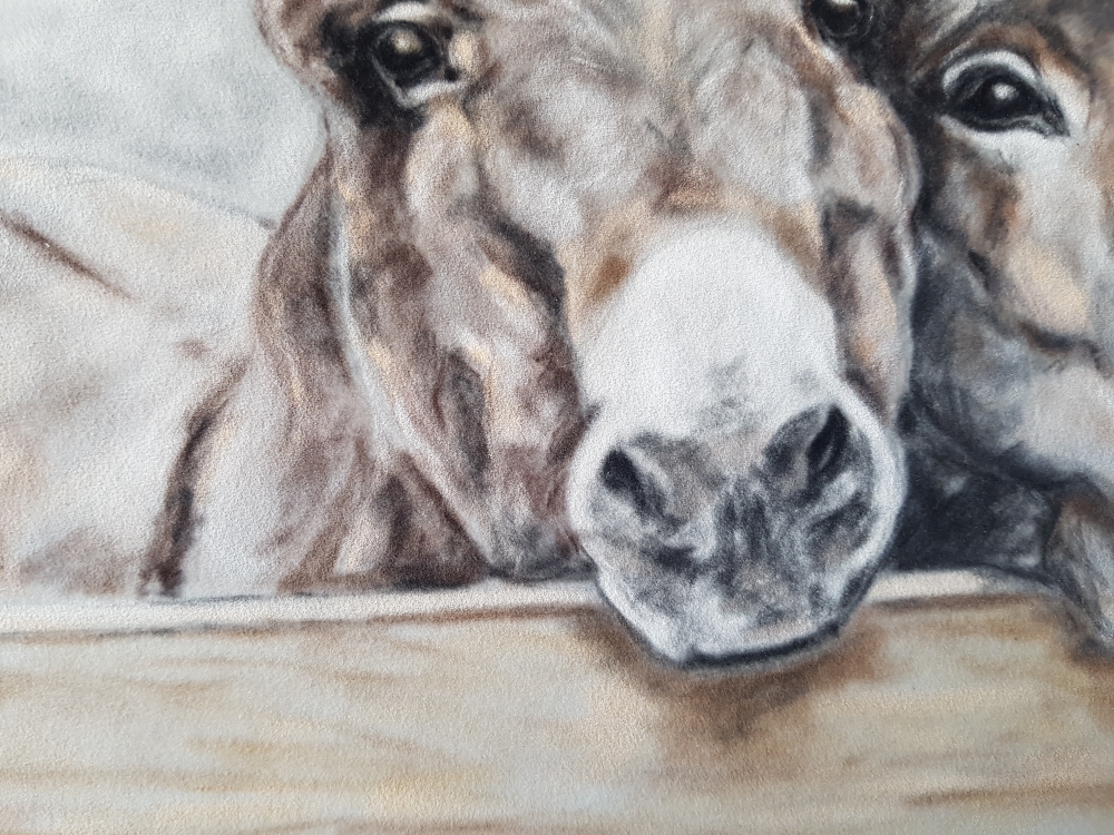 Inquisitive 