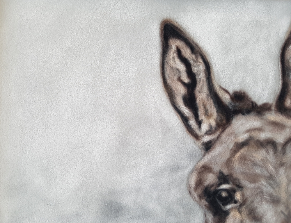 Inquisitive 
