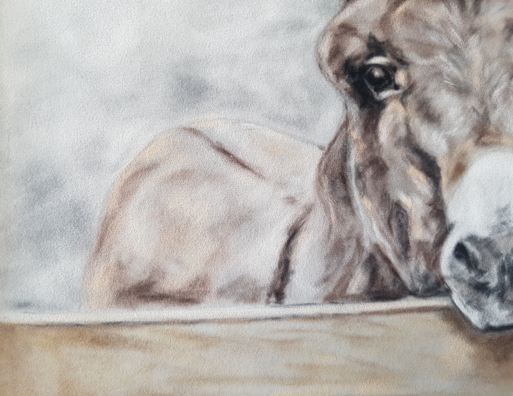 Inquisitive 