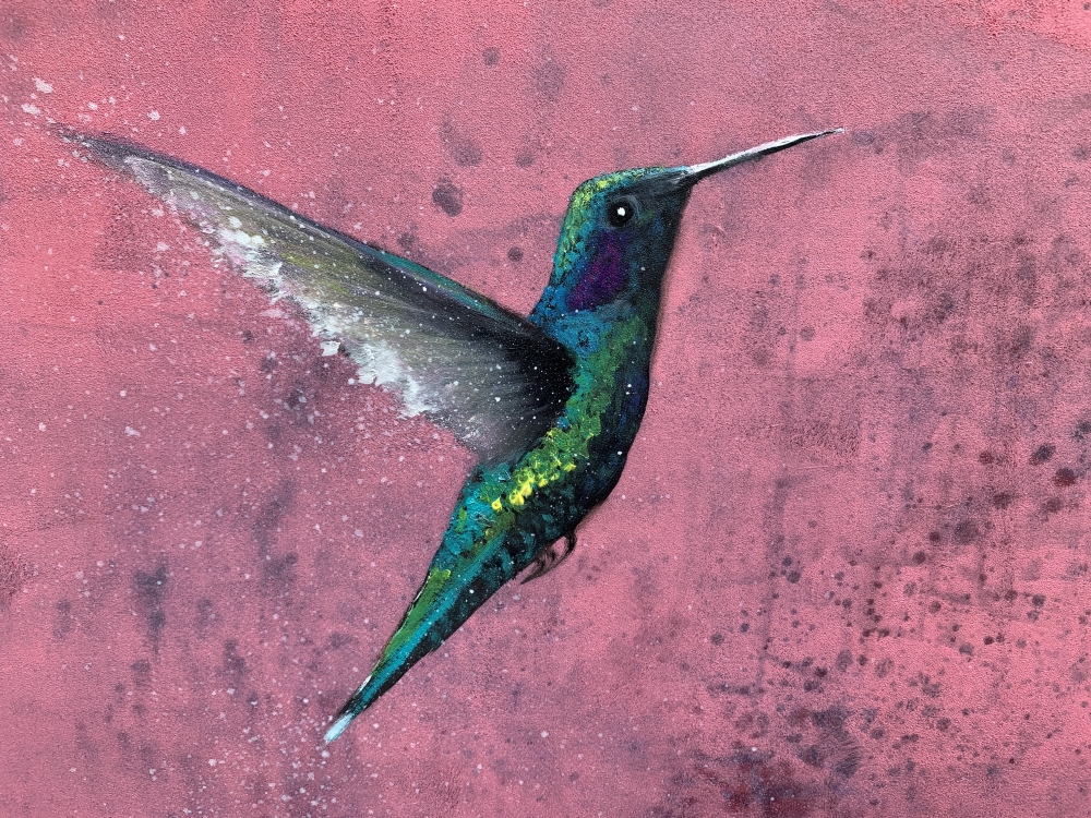 Flight of The Hummingbird II