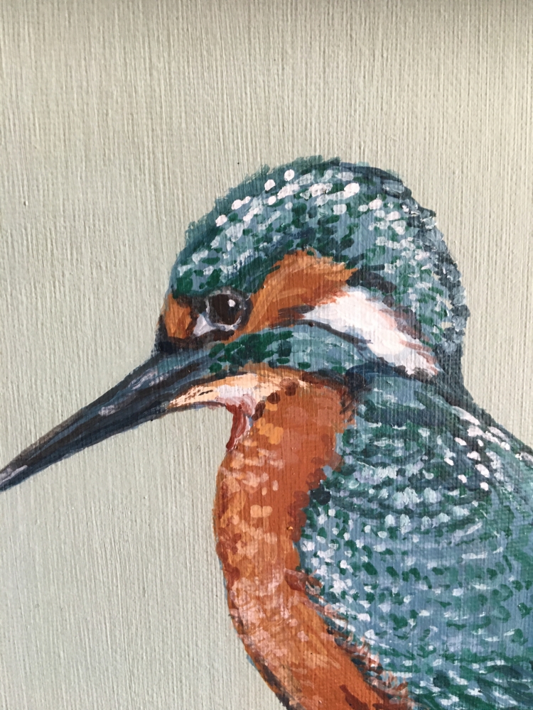 Kingfisher in May
