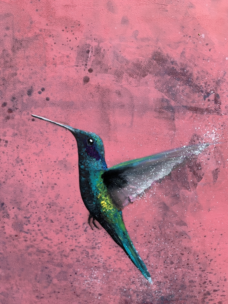 Flight of The Hummingbird II