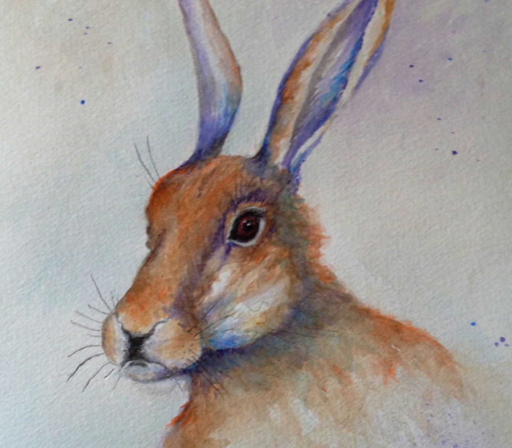 Worried Hare