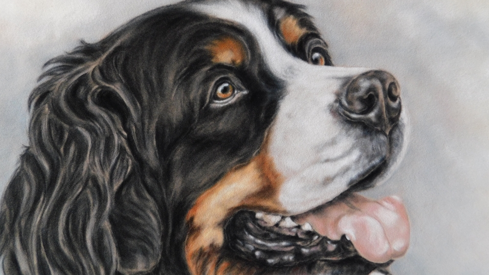 Bernese Expressions