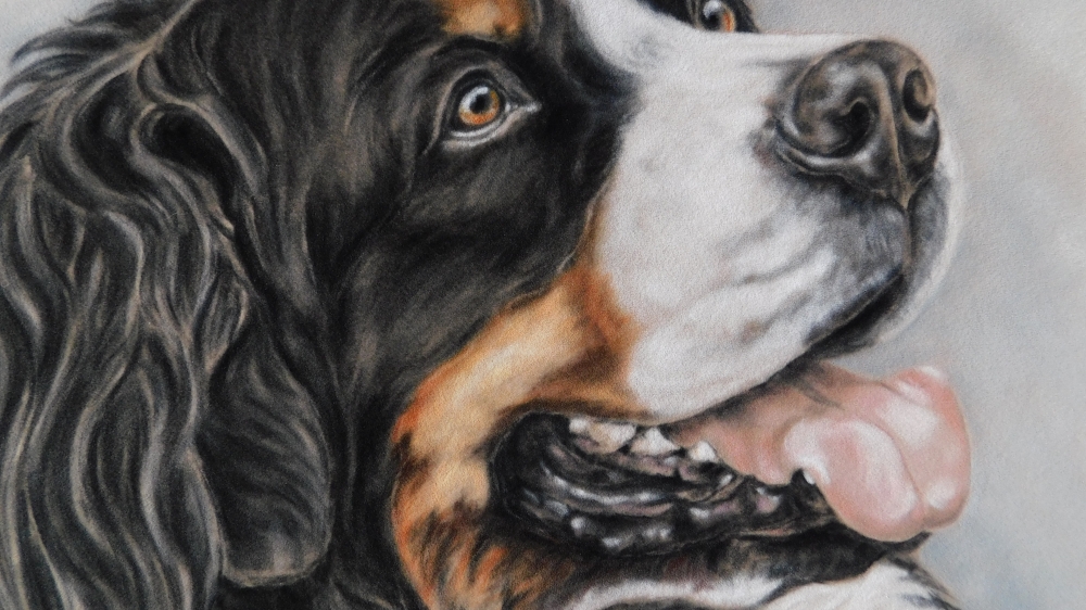 Bernese Expressions