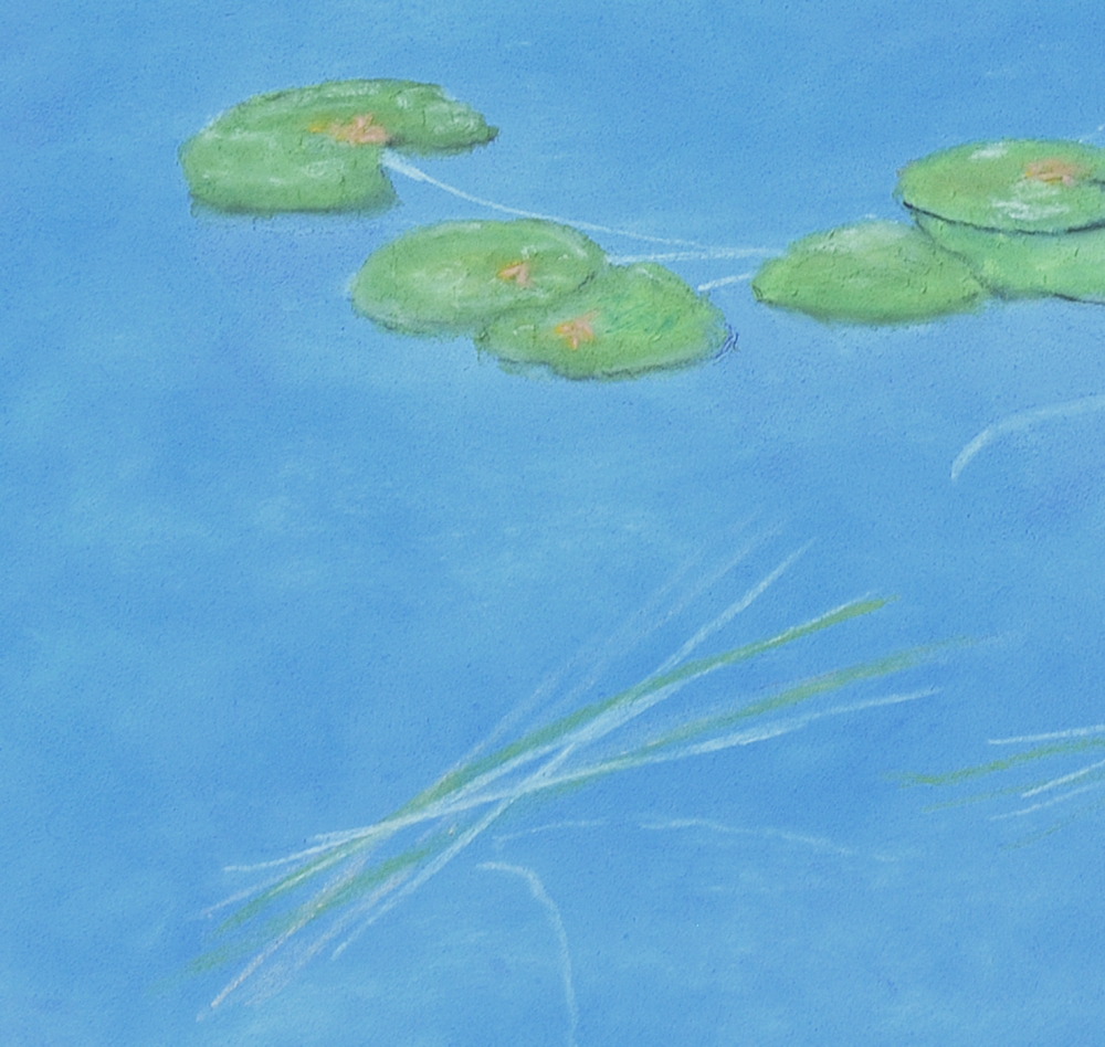 Water Lilies