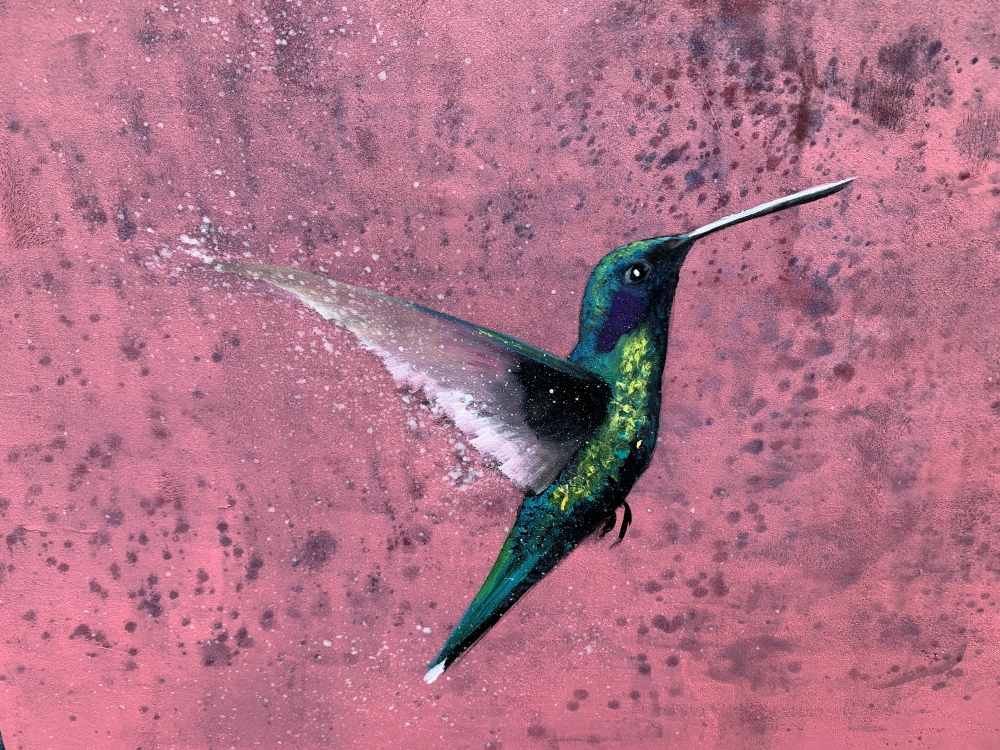 Flight of The Hummingbird II