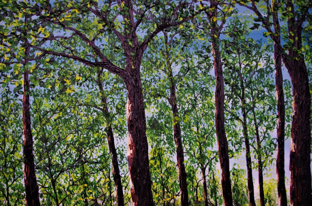 Spring Time in the Forest. 100cm X 150cm