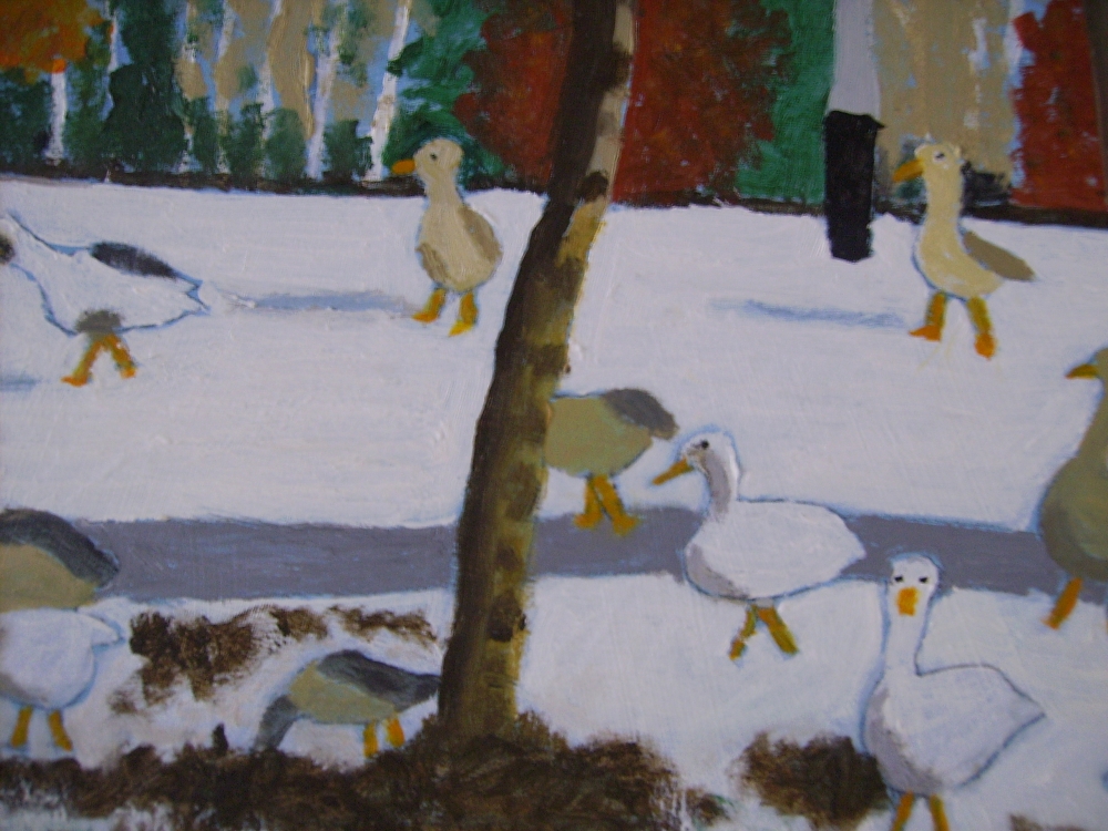 Swans at Kingsdale Mere in winter 