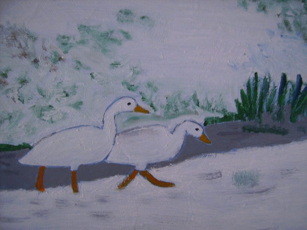 Swans at Kingsdale Mere in winter 
