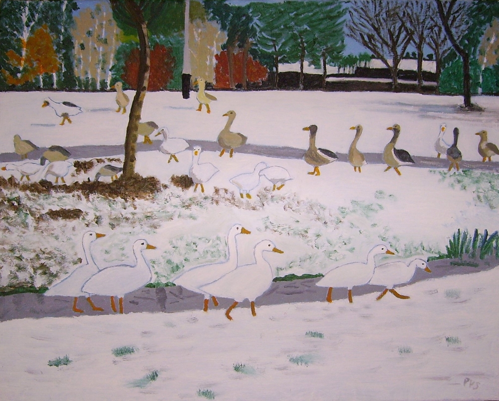 Swans at Kingsdale Mere in winter 