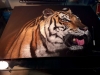 Tiger - Original Large Pastel Painting Wall Decor Portrait ART SIGNED Deimante Bruzguliene