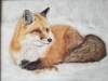 Winters Fox